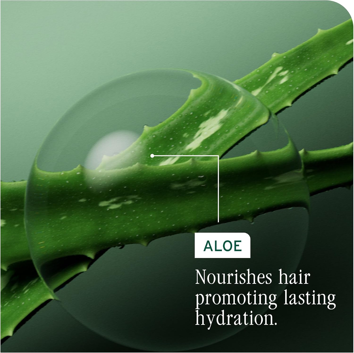 Biolage Hydra Source Shampoo – For Dry Hair - Image 6